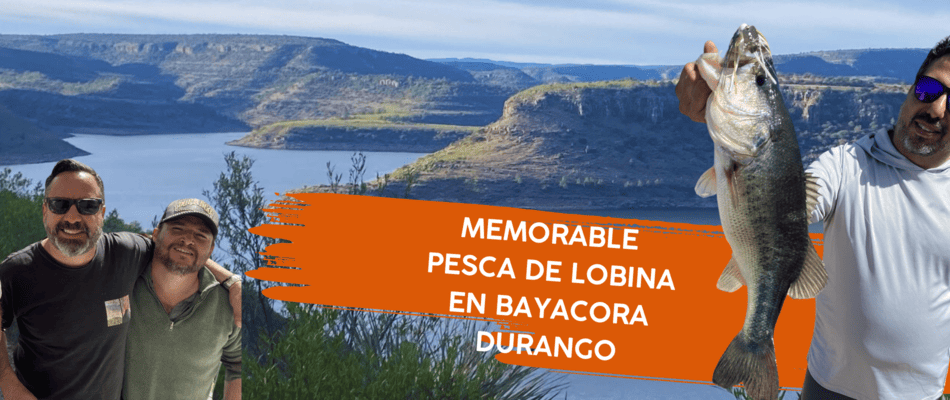 home blog fishing Bayacora durango