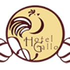 HOTEL GALLO